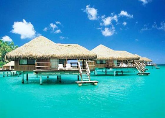 Konstrukcja stalowa, drewniane domy dekoracyjne, prefabrykowane domy bungalow, zestawy